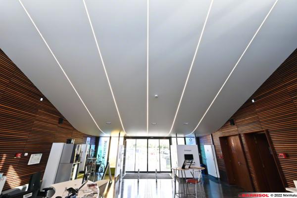 Barrisol Light Lines - solutions d'éclairage au plafond